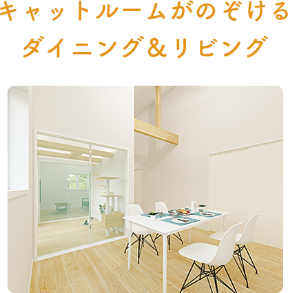 キャットルームがのぞけるダイニング＆リビング