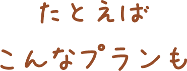たとえばこんなプランも